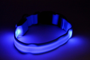 LED Lighted Dog Collar